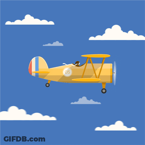 Yellow Plane With Number 95 GIF