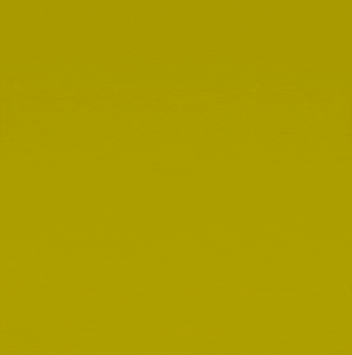 Yellow Plant Gardening GIF