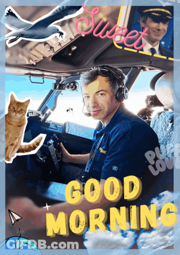 Yellow Race Car With Deval On Side GIF
