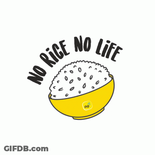 Yellow Rice Bowl No Rice No Life GIF