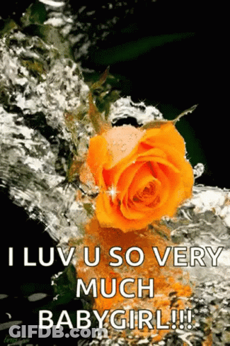 Yellow Rose Floating In Water Saying I Luv U So Very Much Babygirl GIF