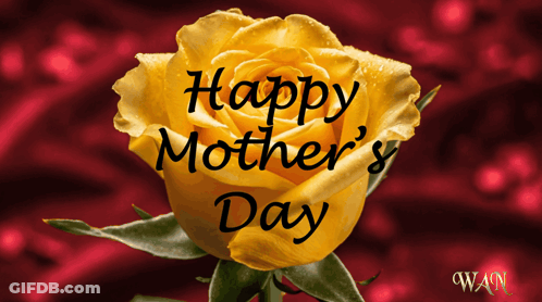 Yellow Rose With Happy Mother's Day GIF
