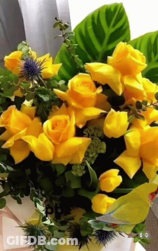 Yellow Roses Bouquet With Bird GIF