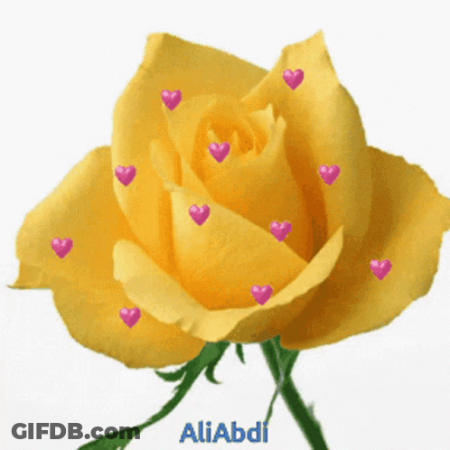 Yellow Roses Greeting Card Saying Just For You GIF