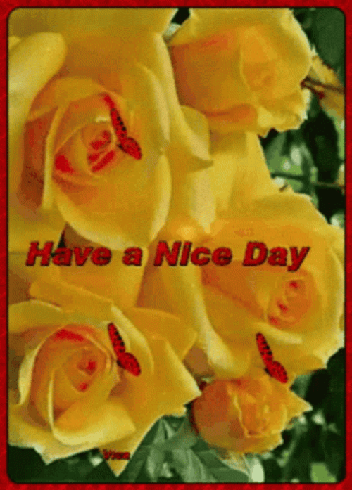 Yellow Roses Have A Nice Day GIF