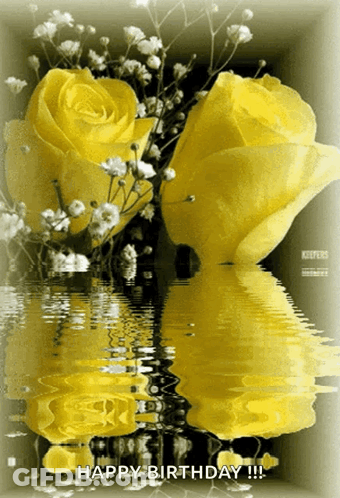 Yellow Roses Reflected In Water Saying Happy Birthday GIF