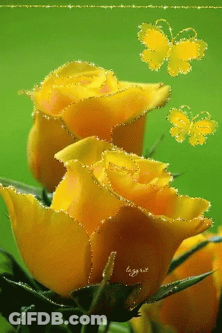 Yellow Roses With Butterflies GIF