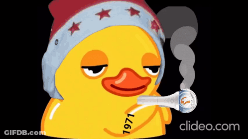 Yellow Rubber Duck Smoking Pipe 1971 GIF