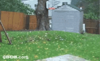 Yellow Sign Saying Juice Box GIF