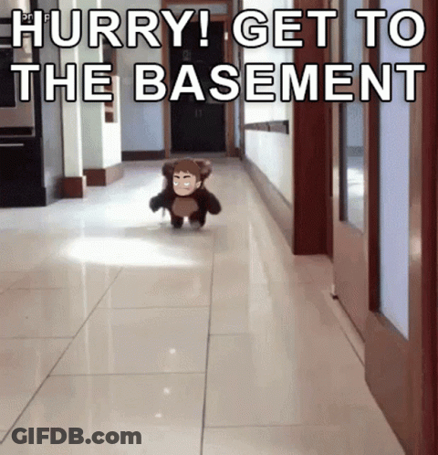 Yellow Sign Saying Vive Les Chats GIF