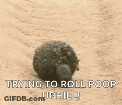 Yellow Smiley Face Saying I Like This Guy GIF