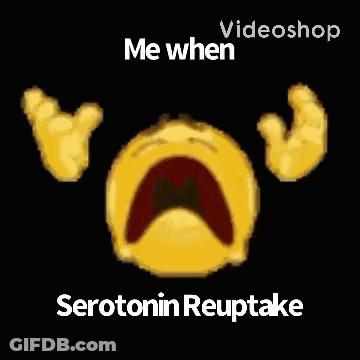 Yellow Smiley Face Saying Videoshop Me When Serotonin Reuptake GIF