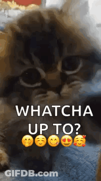 Yellow Smiley Wearing Sunglasses Says Whats Up GIF