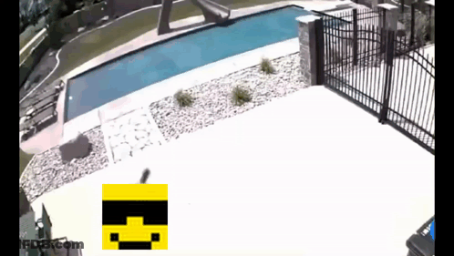 Yellow Square Saying I'm Sorry In Pool GIF