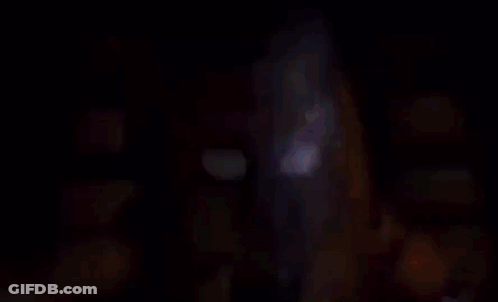 Yellow Teddy Bear Face Close Up GIF