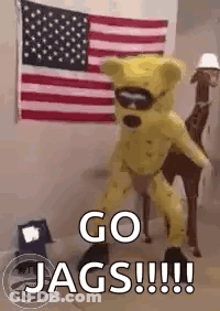 Yellow Teddy Bear Mascot Next To Giraffe And American Flag GIF