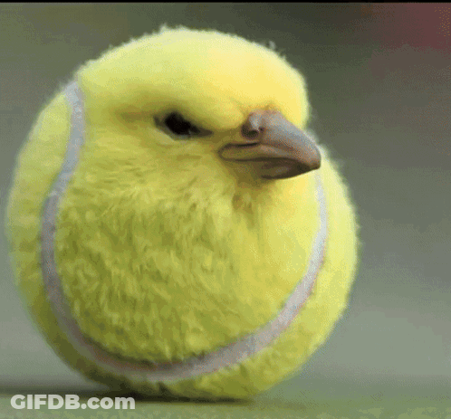 Yellow Tennis Ball Shaped Like Bird GIF