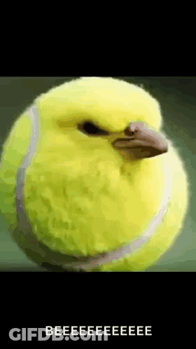 Yellow Tennis Ball With Bird Shaped Head GIF