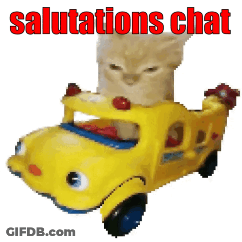 Yellow Toy Bus With Cat Saying Salutations Chat GIF