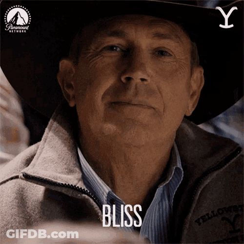 Yellowstone John Dutton Smirk Look Away Bliss GIF