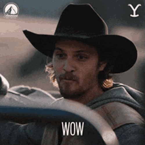 Yellowstone Kayce Dutton Happy Wow GIF