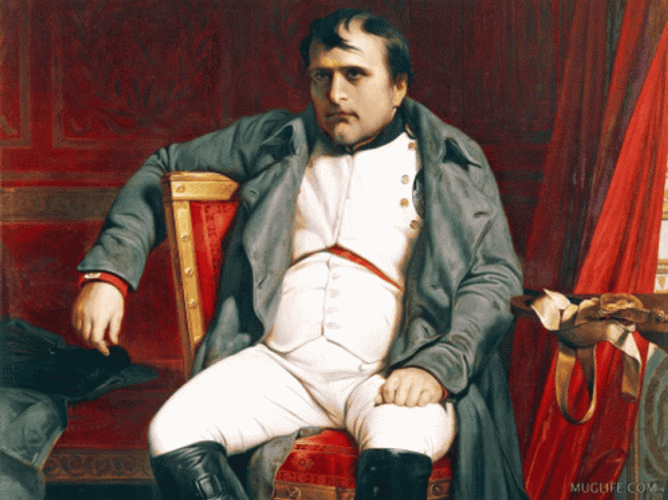 Yes Funny Napoleon Meme GIF