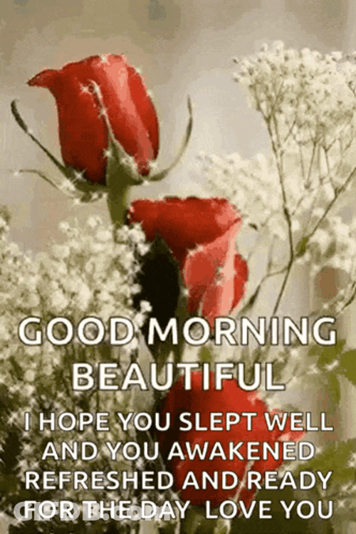Yes GIF