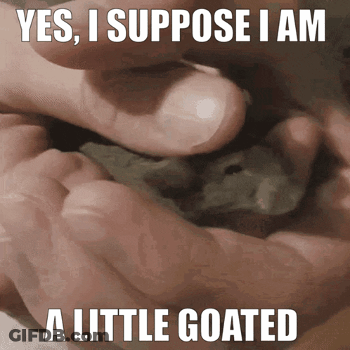 Yes I Suppose I Am A Little Goated Person Holding Small Animal GIF