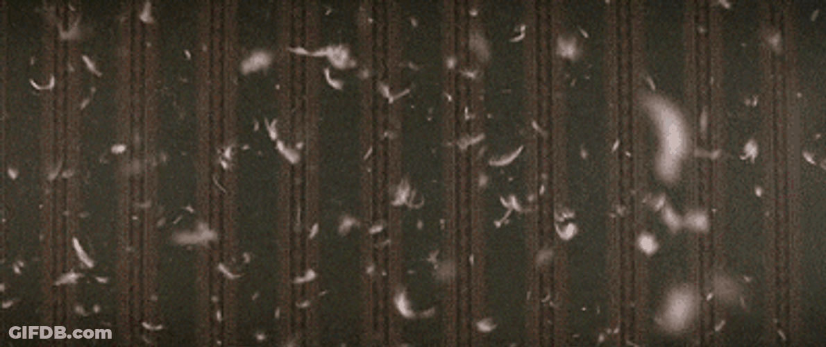 Yes It's Bed Time GIF