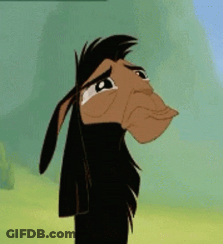 Yes Llama GIF