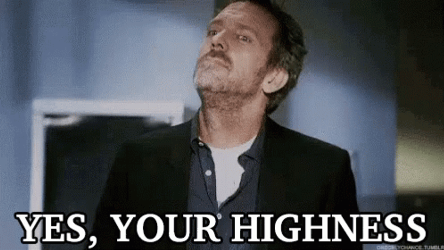 Yes Master Yes Your Highness GIF