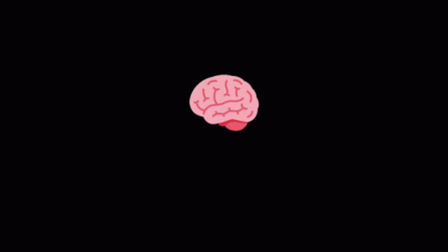 Yes No Brain Sliced GIF