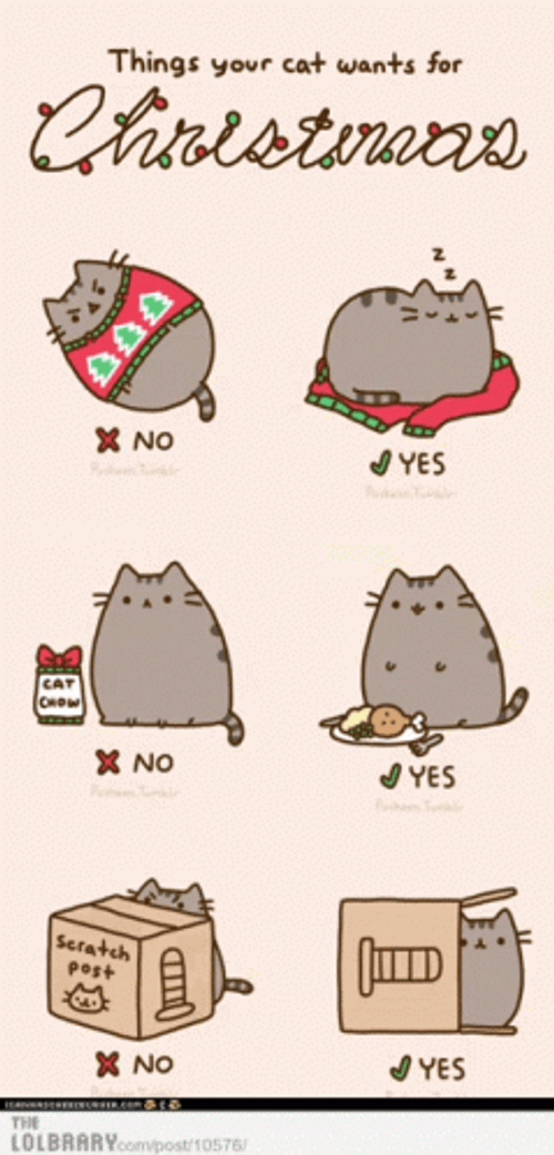 Yes No Checklist GIF