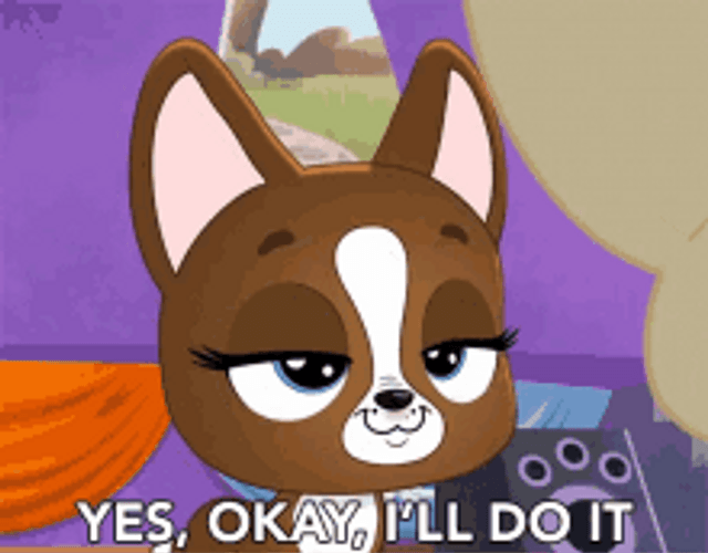 Yes Okay Little Pet Shop GIF