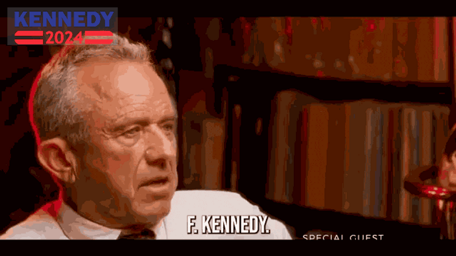 Yes Sir Kennedy Show Tv Guest GIF