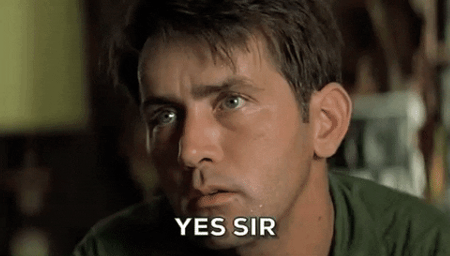 Yes Sir Martin Sheen GIF