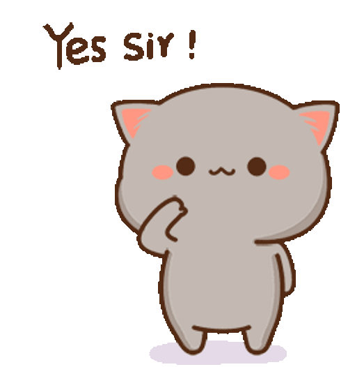 Yes Sir Mochi Goma Cat GIF