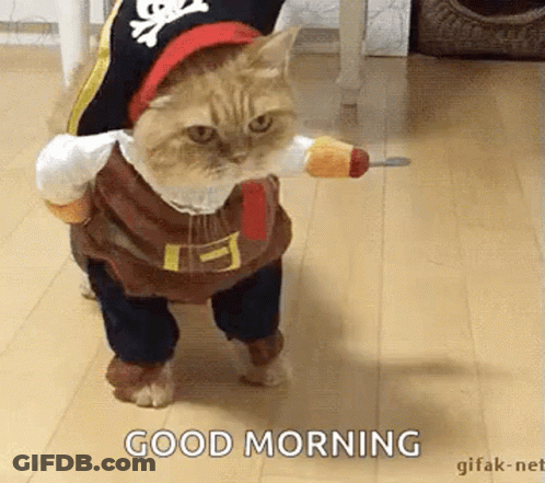 Yes True I Agree With Your Statement GIF