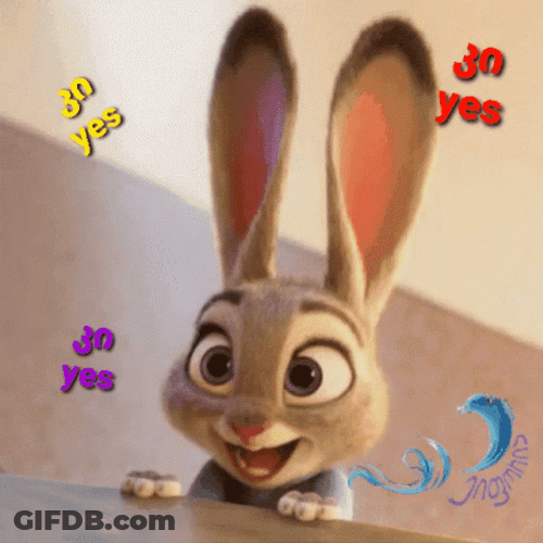 Yes Yes Cute Bunny GIF