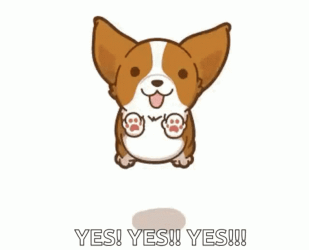 Yes Yes Yes Corgi Dog GIF