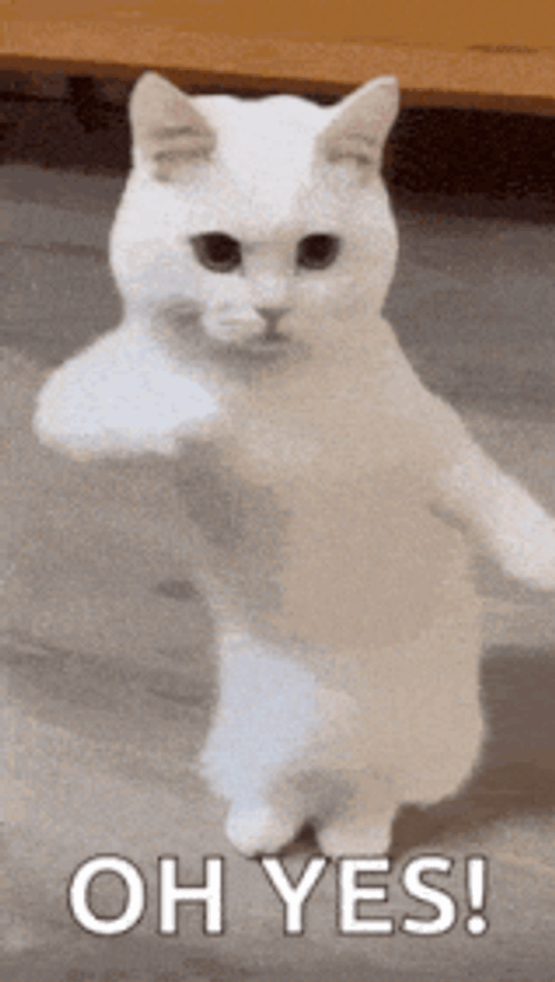 Yess Yes Yes Yes GIF