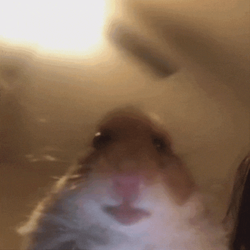 Yessir 4T GIF