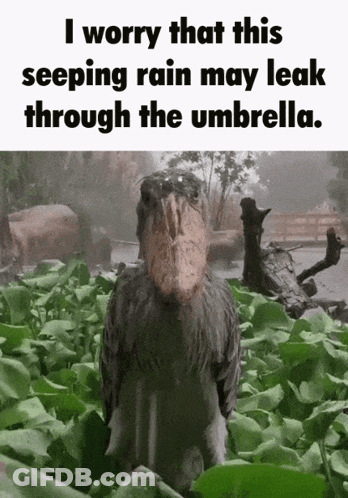 Yi Sang Limbus GIF