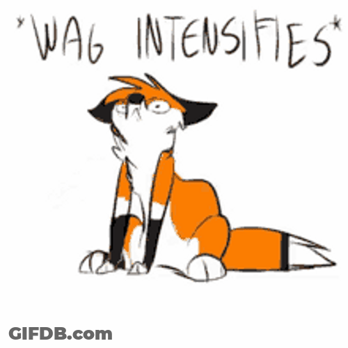 Yiff Furry Wag Intensifies GIF