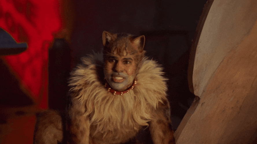 Yikes Jason Derulo Cats GIF