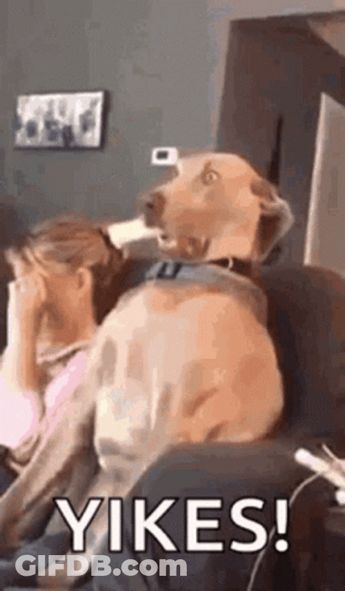 Yikes Scared Dog Frozen GIF