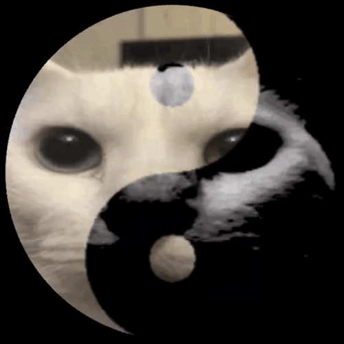 Yin Yang Cats Face GIF