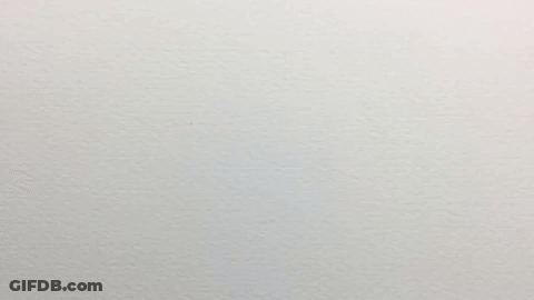 Yin Yang Coloured GIF