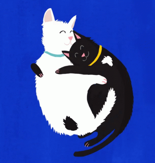 Yin Yang Hugging Cats GIF