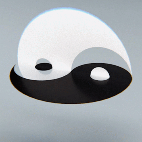 Yin Yang Trying To Connect GIF